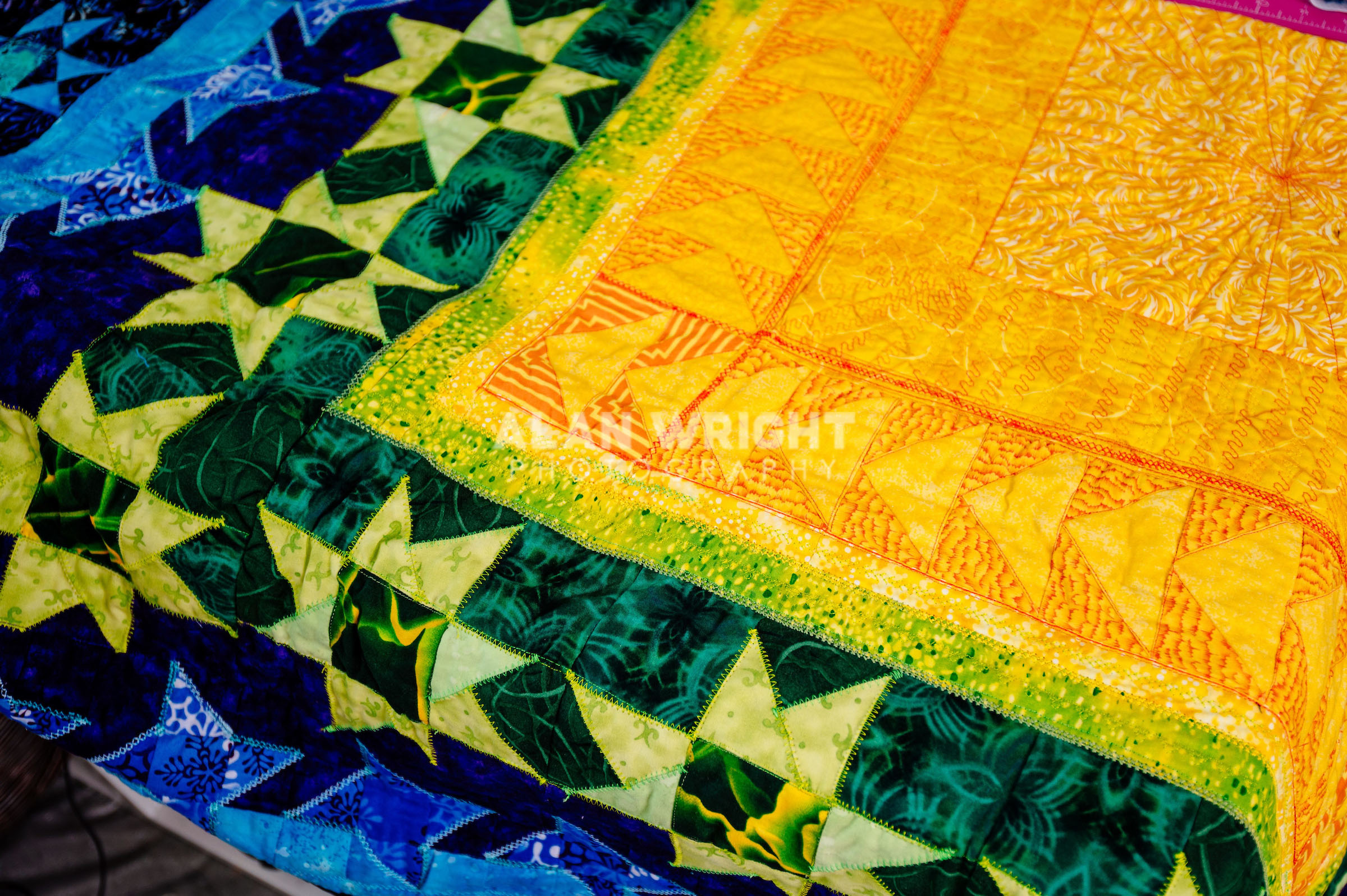 HORSHAM TEXTILE ARTIST VICKY GLYN